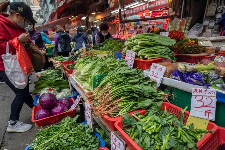 Bloomberg Vegetable Prices in Hong Kong