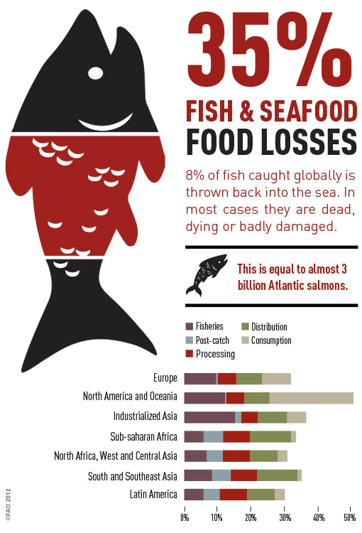Fish & Seafood Loss by UNFAO