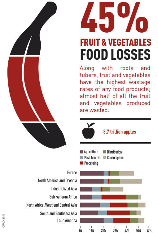 Fruits & Vegetables Loss by UNFAO