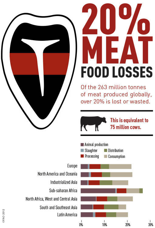 Meat Loss by UNFAO
