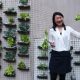 Daisy Tam and her vertical allotment at Baptist University