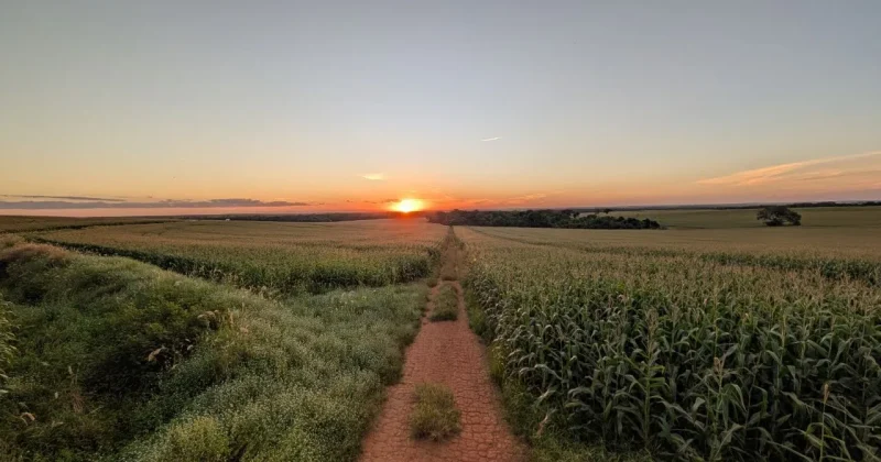 farm-800x420